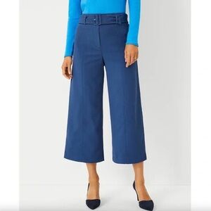 Ann Taylor Pants